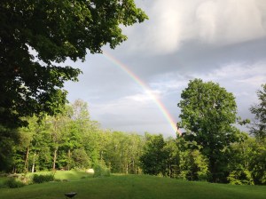 Rainbow (2) IMG_1440